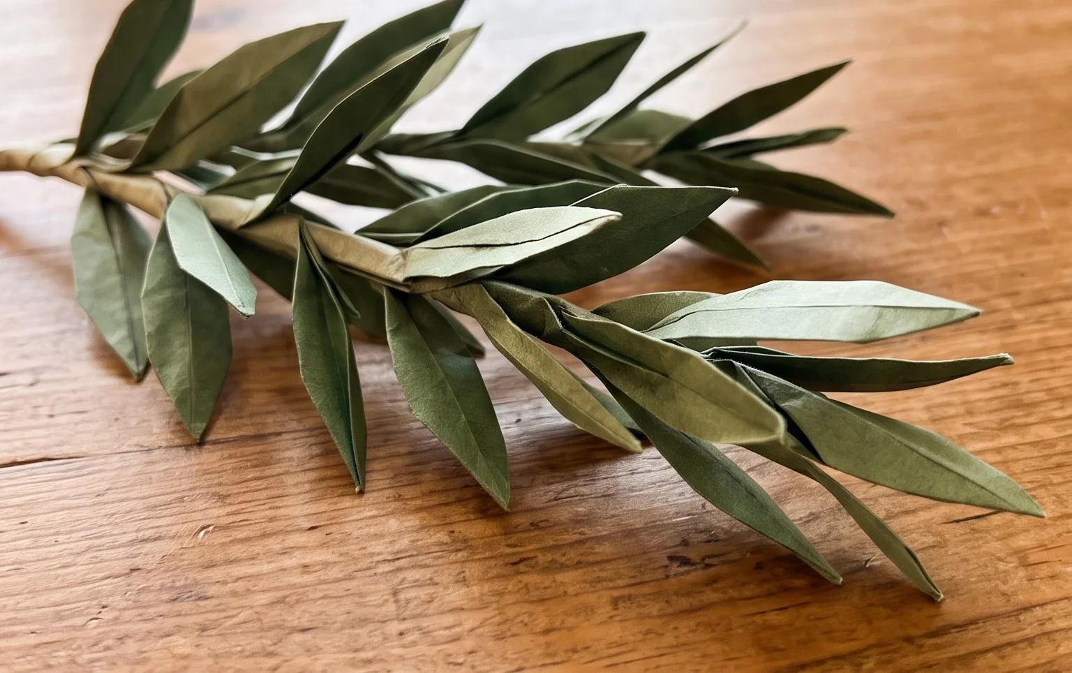How to Make an Origami Olive Branch